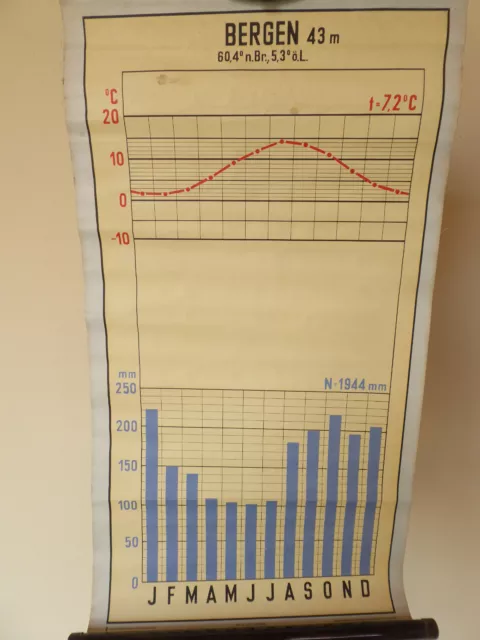 Original Schulkarte Rollkarte Schulwandkarte Bergen Diagramm 50s 60s Vintage 2