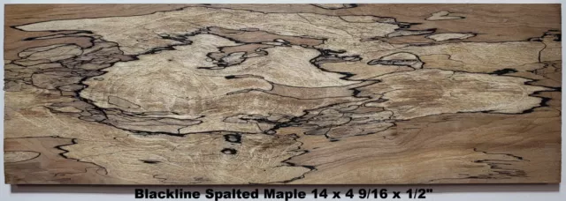 Stabilized Maple Blackline Spalt box wood #11, gun grips, craft wood, scales