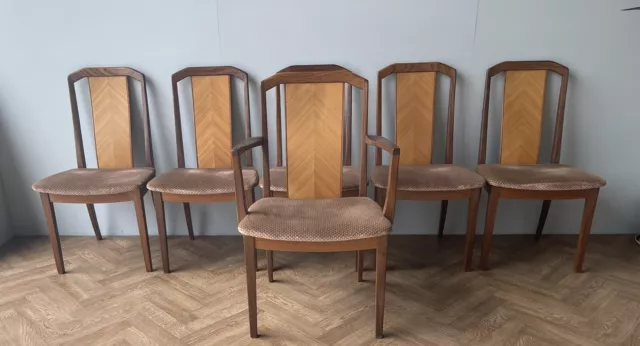 G Plan Vintage Teak Dining Chairs Seats with Carver X 6 **FREE DELIVERY **