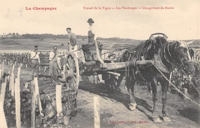 Cpa 51 La Champagne Travail De La Vigne Les Vendanges Grape Loading