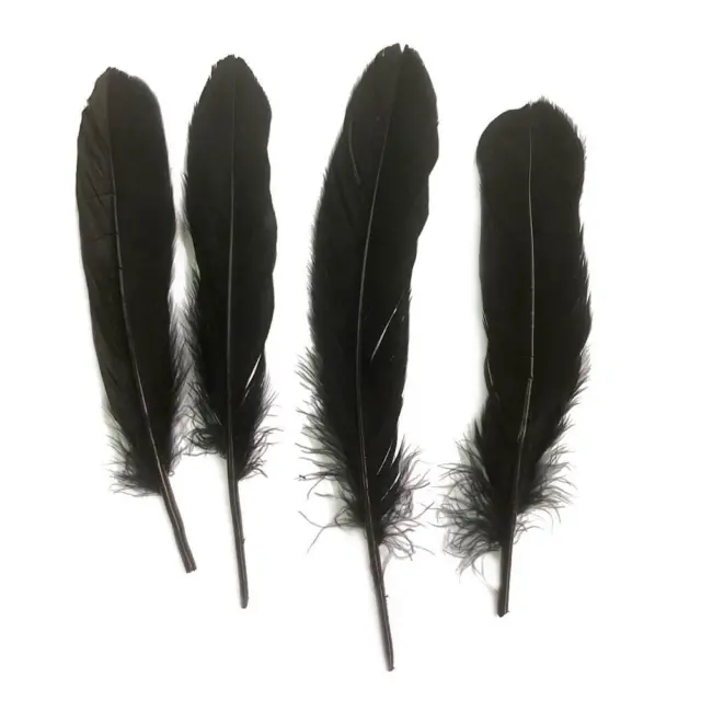 EY# 100pcs Natural Goose Feather DIY Dreamcatcher Wedding Decor Plume (Black)