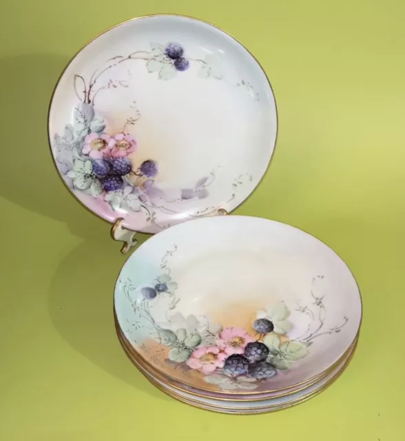 JHR Hutschenreuther Selb Bavaria Handpainted Blossom & Berry Plates Lot of 5