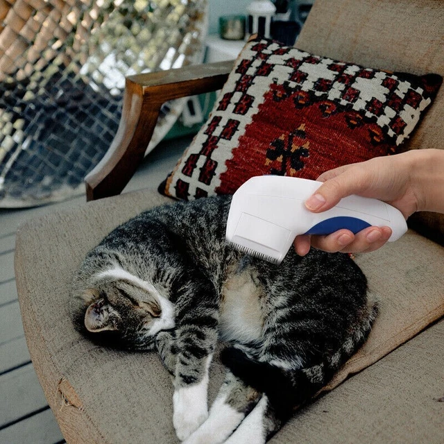 Electric Flea Zapper Lice Remover Hair Comb Brush for Pet Cat Dog Cleaning Tool 3