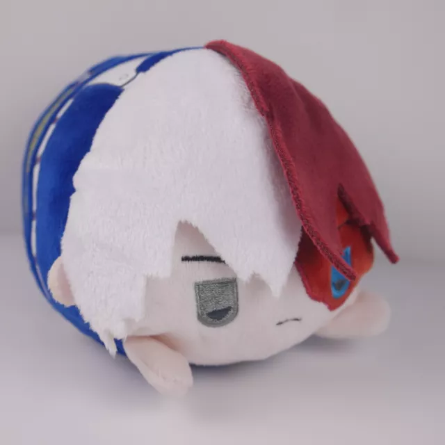 Todoroki mochibi shop