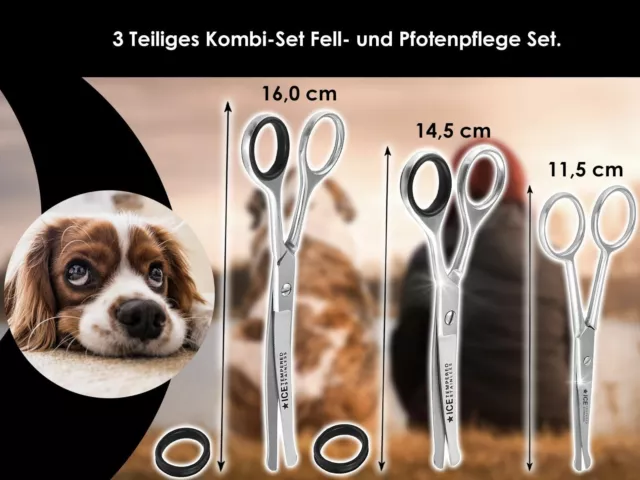 Tijeras de pelo para perro SET DE ASEO tijeras curvas tijeras para perro tijeras para piel tijeras para patas 2
