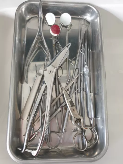 Diverse chirugische Instrumente Zahn und sonstiges, gebraucht