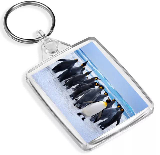 Emperor Penguin Flock Keyring Cool Animal Family Keyring Gift #14618