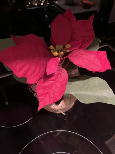 Artificial Red Poinsettia in Pot 15cm - Christmas Table Decorations