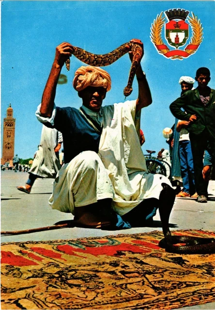 CPM MAROC Charmeurs de serpents a Marrakech et Armoiries de la Ville (343138)