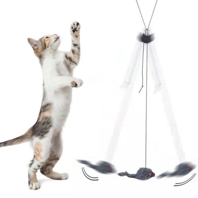 Juguete divertido divertido para puerta de jaula para gato colgante automático para gato interior