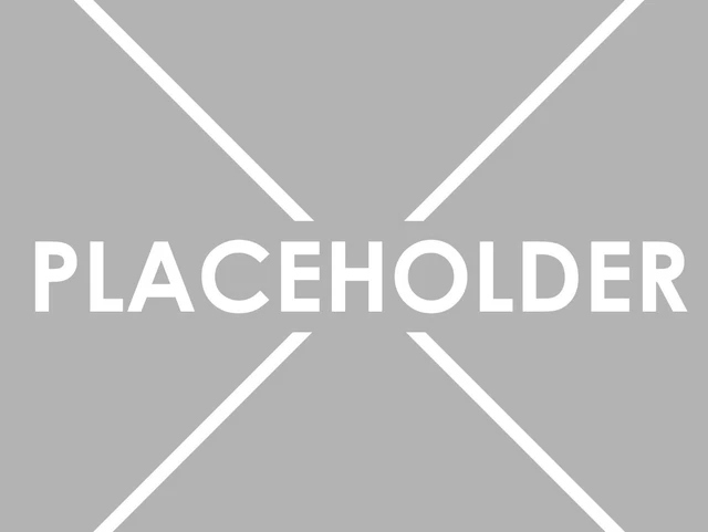Placeholder 5