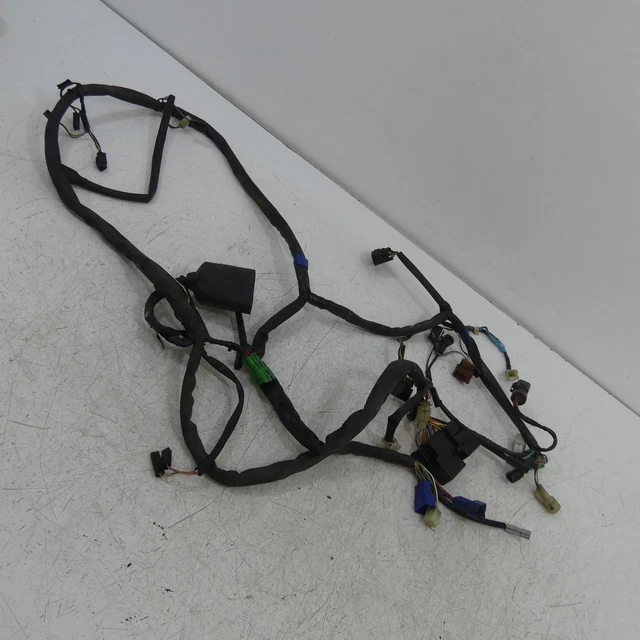 Suzuki GSF 1200 S WVA9 EZ:01 Cablaggio Cavo Elettrico Spina B3272