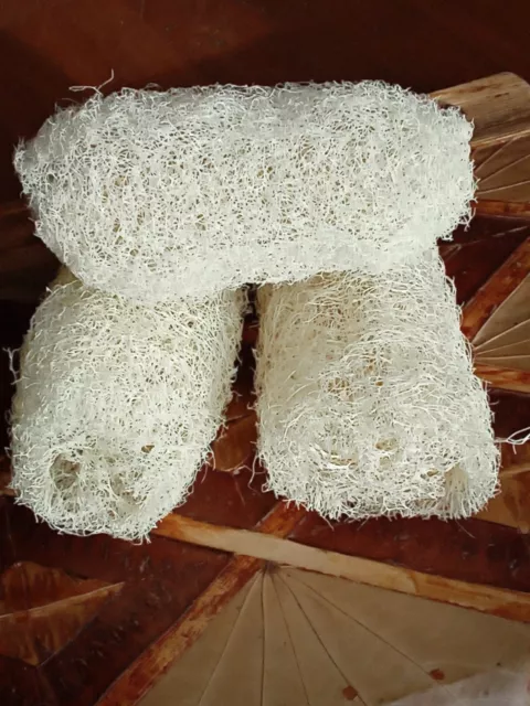 Lot de 3 Éponges LUFFA exfoliantes pour le gommage du corps 100% biodégradable 