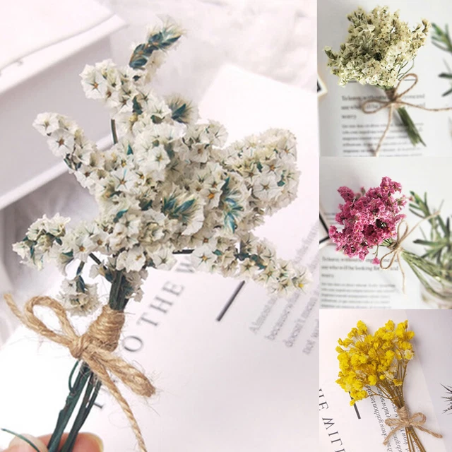 thumbnail image 2 of Natural Dried Flower Wired Stems Set Of 5 – Buy Online Or Call 0800 756 5403 2 of 14