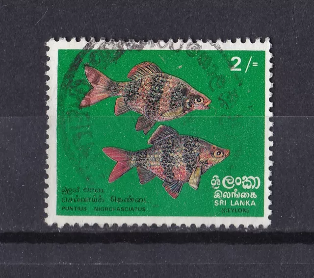 Briefmarken Sri Lanka 1972 - Mi-Nr. 431  - MNH - Fische / Fish gestempelt