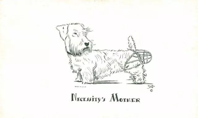 Old Comic Dog Postcard Sealyham Terrier Necessity's Mother Signed Zito c1930s