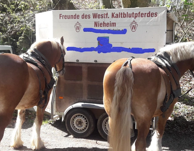 Pferdeanhänger -2700 KG Pferdeanhänger -2700 KG