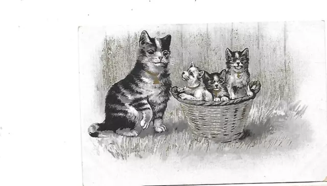 CPA carte postale ancienne  Kettle cats la corbeille de chatons