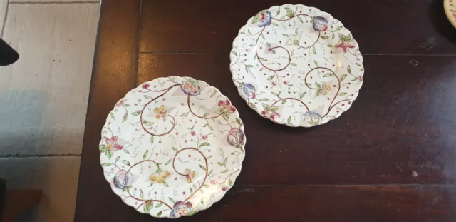 Assiettes Anglaise Ancienne Chelsea Chintz Plates Old Ceramique Decor De Fleurs