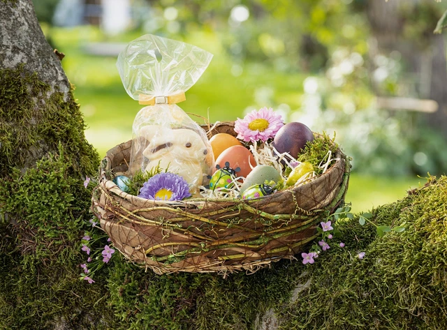 Salvare Set 2x Osternest " Natura "