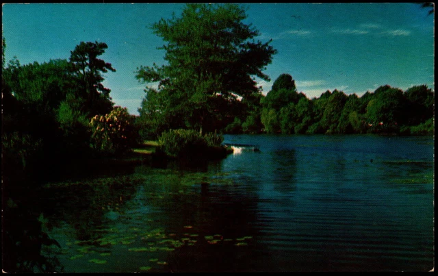 Postcard MI Irons Michigan Greetings from Luke's, Lake Scene c1950s C3