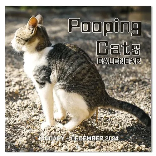 2024 CALENDER Pooping Cats Wall Calendar 2024, From January to