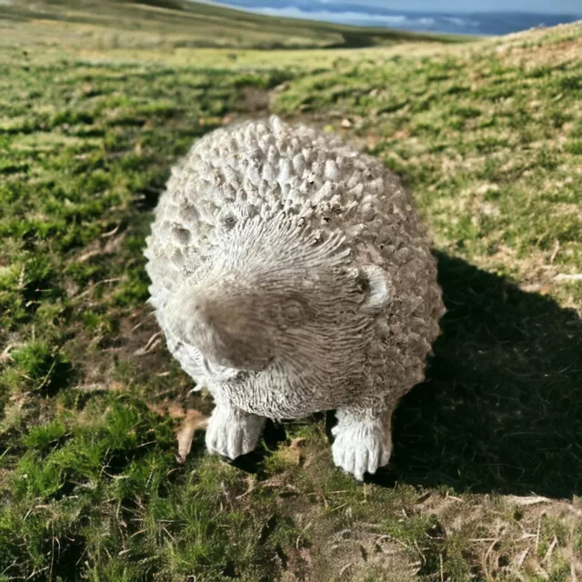 Hedgehogs : Enchanting  Stone Ornament for Home and Garden - Captivating Design