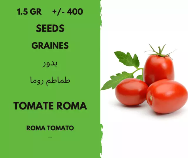 1.5 Gr  +/- 400  graines de  tomate roma - seeds roma tomato