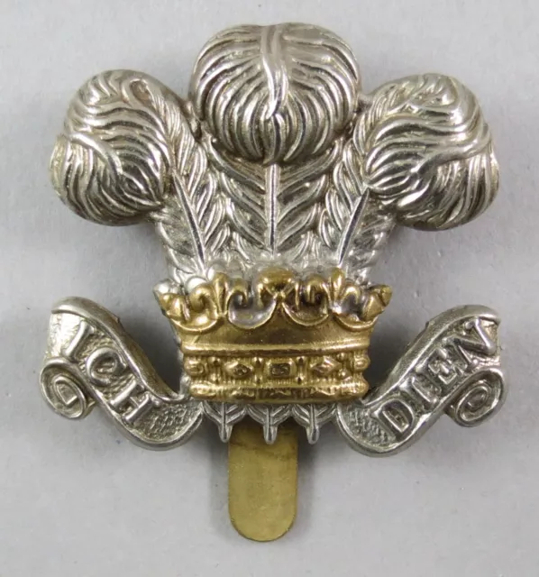 Military Cap  Badge The Royal Wiltshire Yeomanry British Army