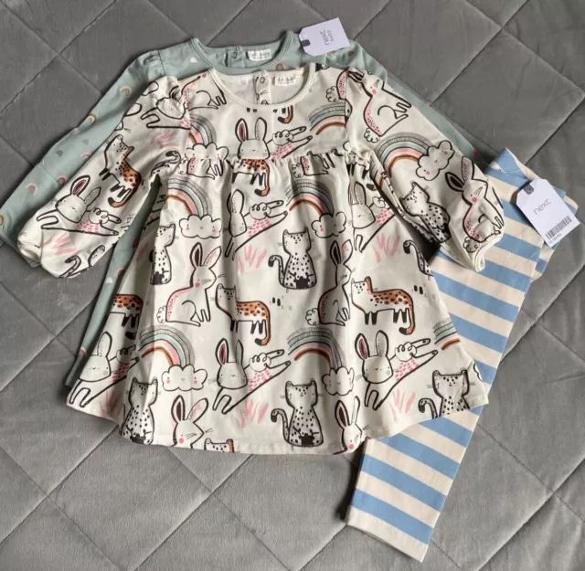NEXT Baby Girls 12-18 Months 2 Dresses And Leggings Set Outfit BNWT