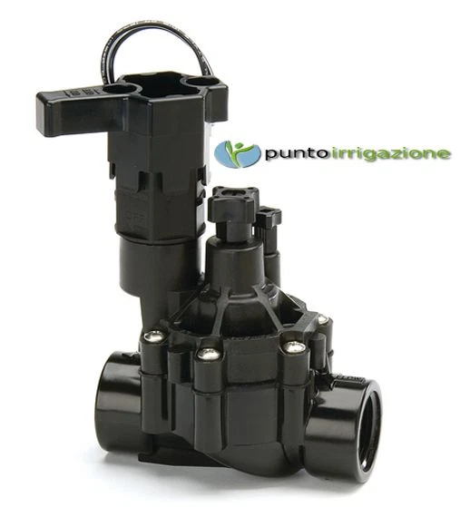 Elettrovalvola Rain Bird DV 1" Femmina con Regolatore di flusso 24v 100-DVF