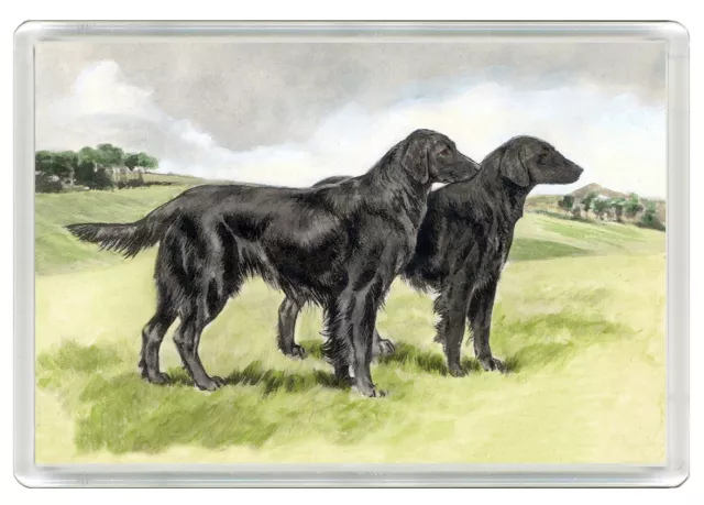 Flat Coated Retriever Dogs Dog Art Print Novelty Fridge Magnet   Great Gift