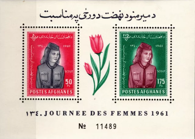 Afghanistan 1961 Girl Scout Souvenir Sheet Two Stamp Scott 511 Mnh