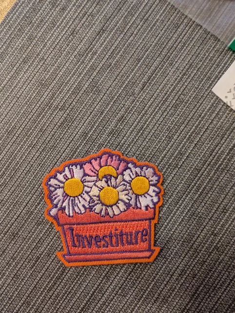 CURRENT 2025 GIRL Scout Fun Badge Patch - Investiture Daisy Flowers $4. ...