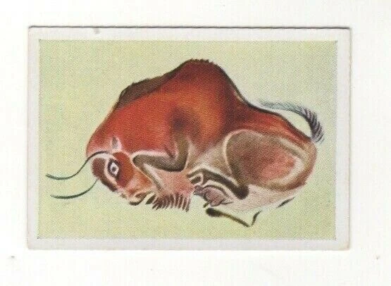 GERMAN WORLD WONDERS Series. Ice Age cave painting of a European Bison ...