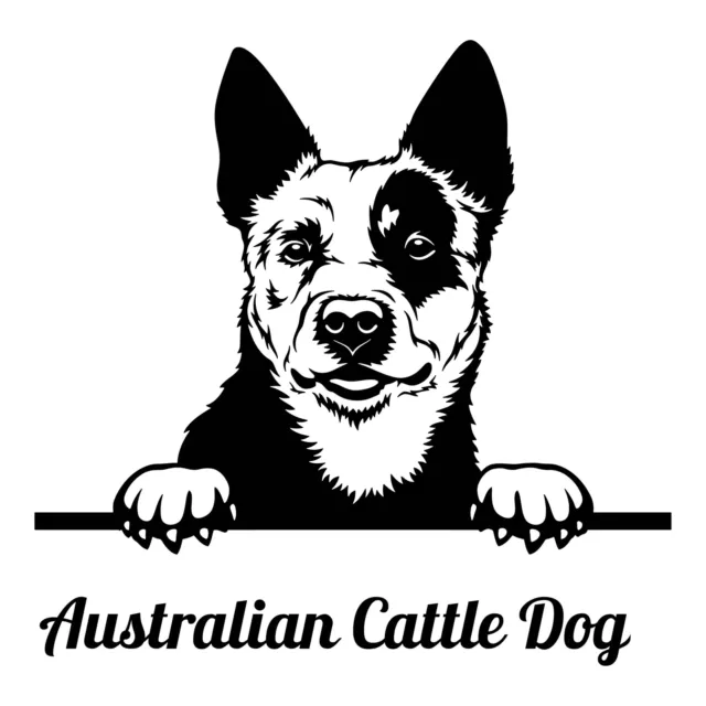 Autoaufkleber /Sticker /Innen und Außen Porträt Australian Cattle Dog 02