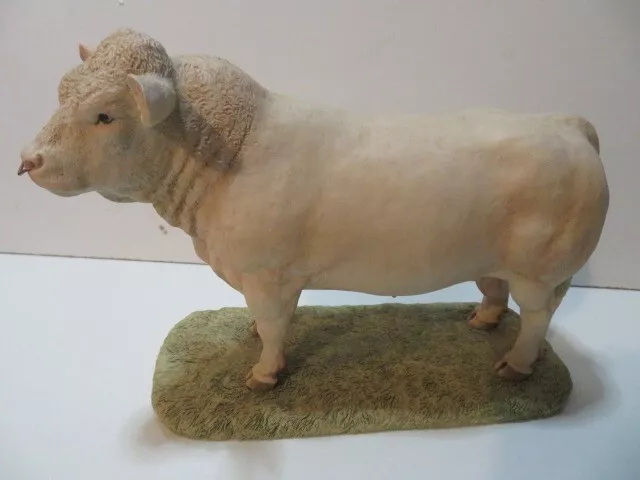 Border Fine Arts L112 Charolais Bull. Ltd Ed. Ray Ayres. No Plinth/ COA. Unboxed