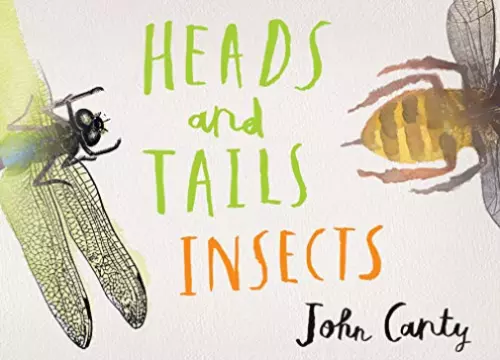 Heads and Tails: Insects by John Canty #44434