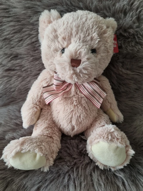 Personalised Oscar Teddy Bear (25cmST) main image 1
