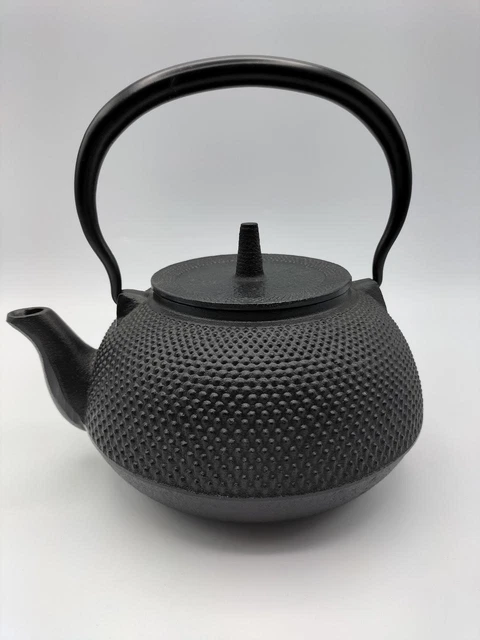 Nambu Ironware Teapot