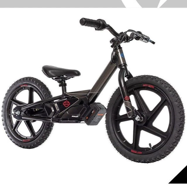 irone bike