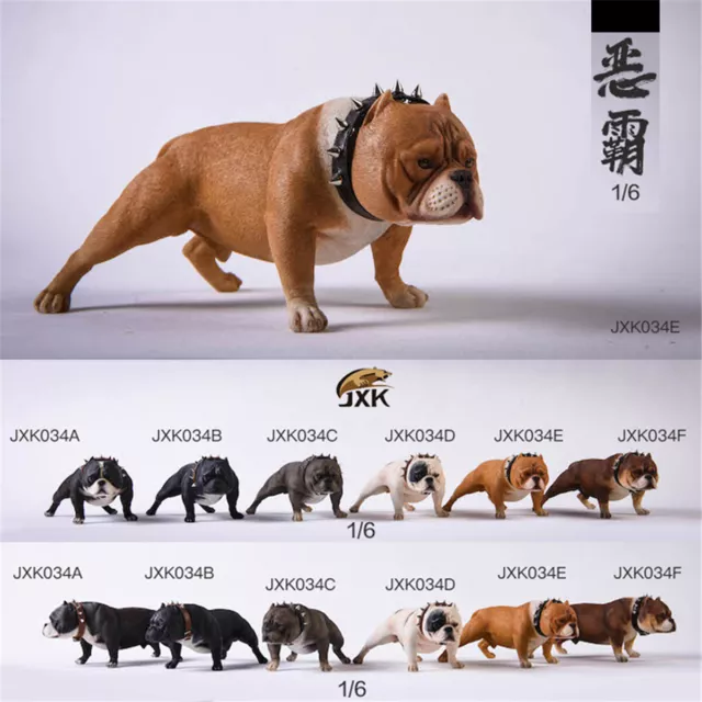 JXK JXK124 1/6 Mini Bully Dog Model Animal American Bully Pitbull Toy  Statue