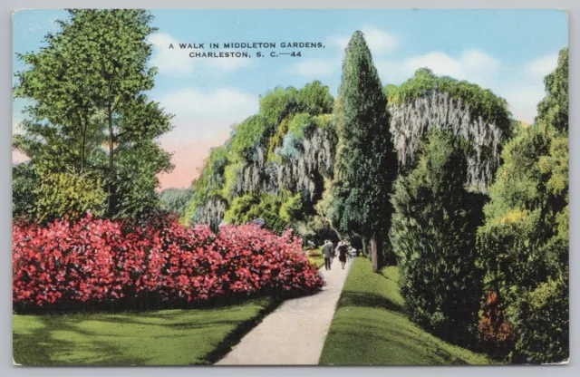 Linen~Charleston South Carolina~Walk in Middleton Gardens~Vintage Postcard