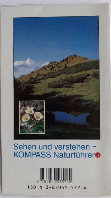 Bonbonspender Als Bilderrahmen – Vintage Design, Wandmontiert, Personalisierbar (Blau)