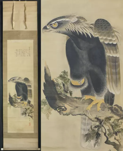 Antique Japan master falconry painting Tombi Eagle 1800s Takagari