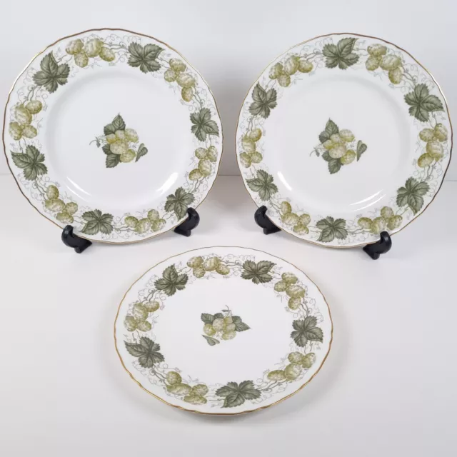 Royal Worcester The Worcester Hop Mathon 2 DInner 1 Salad Plates Bone China