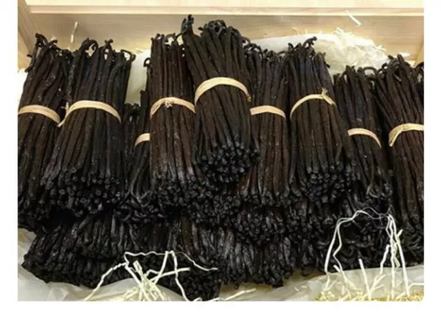 MADAGASCAN VANILLA BEANS GRADE AAA  X 5 BEANS 16+cm   - 5 BEANS ORGANIC