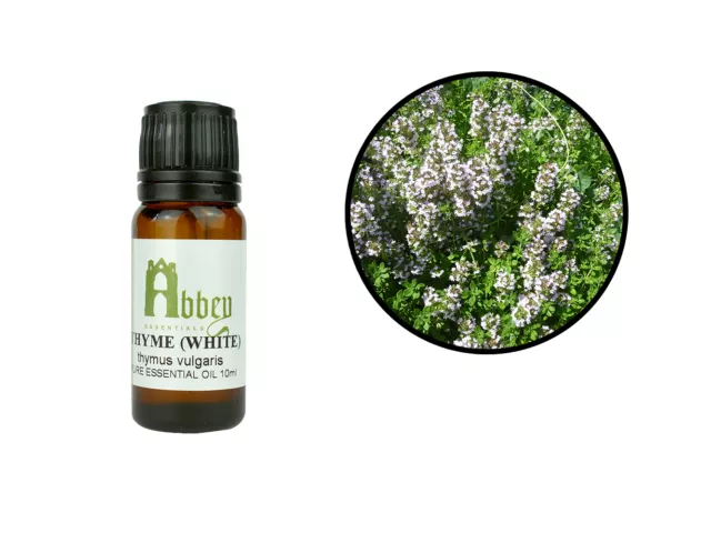 Essential Oil Thyme (White) 100% Pure Aromatherapy Massage Natural 10ml - 1Litre