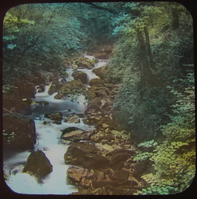 COLOUR JV Glass Magic Lantern Slide TORRENT WALK DOLGELLEY C1890 WALES PHOTO
