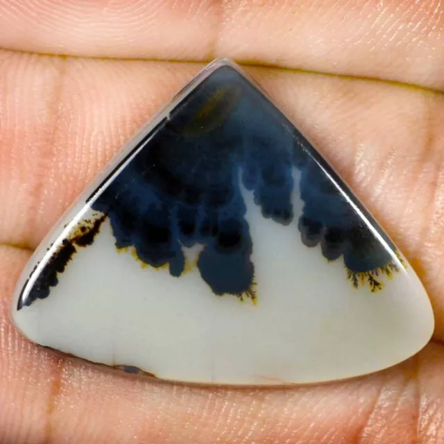 29.40 Cts 100% Natural Scenic Dendritic Agate Tree Cabochon Loose Gemstone TS36